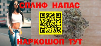 гашик Жуковский
